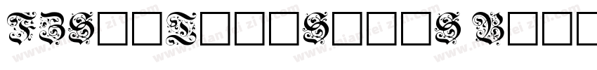 FZShiTianSongS Bold字体转换